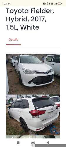 1000343734