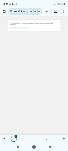 Screenshot_2024-08-12-11-49-07-246_com.android.chrome