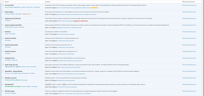 Ekran görüntüsü 2025-10-02 041738