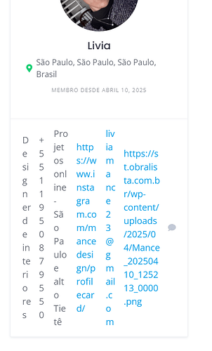 imagem_2025-04-15_170231571