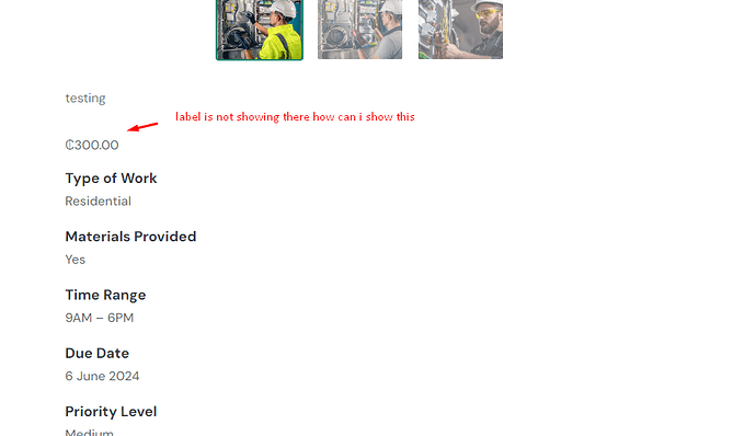 budget label is not showing